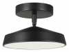 Потолочный светильник Mira Black 7656/12L