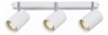 Настенно-потолочный светильник ST Luce Fanale SL597.501.03