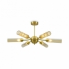 Потолочная люстра Borgy FR5379CL-06G