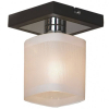 Точечный светильник LOFT Costanzo GRLSL-9007-01