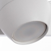 Настенно-потолочный светильник Arte Lamp Sfera A5781AP-2WH
