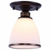 Потолочный светильник Arte Lamp Bonito A9518PL-1BA