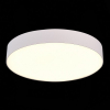 Потолочный светодиодный светильник ST Luce ST606.532.48