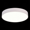 Потолочный светодиодный светильник ST Luce ST606.542.48