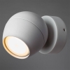 Настенно-потолочный светильник Arte Lamp Sfera A5781AP-1WH