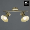 Настенно-потолочный светильник Arte Lamp Baltimore A1406AP-2WG