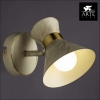 Настенный светильник Arte Lamp Baltimore A1406AP-1WG