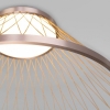 Потолочный светильник Cesta 40019/1 LED коричневый