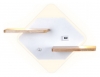 Настенный светильник Ambrella light FW FW100