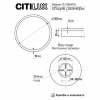 Настенно-потолочный светильник Basic Line CL738241VL
