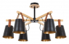 Люстра на штанге Arte Lamp Thomas A7032PL-6BK