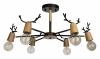 Потолочная люстра Loft IT Sven 10024/6 Black
