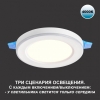 Подвесной светильник ST-Luce Tresor SL6501.423.01