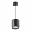 Потолочный светильник Arte Lamp A5655PL-2WH