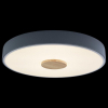 Потолочный светильник Loft IT Axel 10003/24 Grey