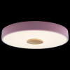Потолочный светильник Loft IT Axel 10003/24 Pink