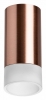 Точечный светильник Lightstar Rullo R43031