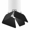 Точечный светильник Lightstar Rullo R496437