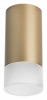 Точечный светильник Lightstar Rullo R44031