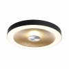 Подвесной светильник Arte Lamp Cappello A3236SP-1BK