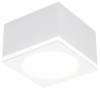 Потолочный светодиодный светильник Ambrella light Techno Spot TN266