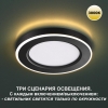 Потолочная люстра Citilux Кристи CL152157