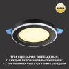 Потолочная люстра Citilux Кристи CL152157