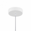 Подвесной светильник Cottage FR5405PL-01W3