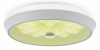 Накладной светильник Freya LED FR10012CL-L24W