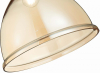 Подвесной светильник Evoluce Bacchi SLE114723-01