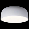 Потолочный светильник Loft IT Axel 10201/480 White