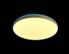 Настенно-потолочный светильник Мелодия Света CW1L 0000 21515