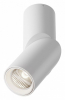 Точечный светильник Maytoni Dafne C027CL-L10W4K