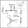 Накладной светильник Ambrella Light FL FL51393