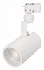Трековый светодиодный светильник Arlight LGD-Zeus-2TR-R88-20W Day4000 025914(1)