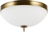 Потолочный светильник Biene MR1528-4C