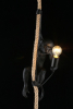 Подвесной светильник Magali APL.309.16.01