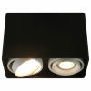 Потолочный светильник Arte Lamp A5655PL-2BK