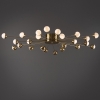 Потолочная люстра Celebrity FR5242CL-24BS