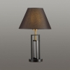 Интерьерная настольная лампа Lumion Fletcher 5290/1T
