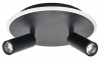 Настенно-потолочный светильник Escada 20046LED 20046SMA/02LED BK