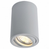 Потолочный светильник Arte Lamp A1560PL-1GY