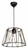Подвесной светильник Georgiana TL1607H-01BK