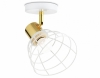 Бра Ambrella light TRADITIONAL TR8600