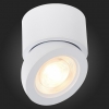 Светодиодный спот ST Luce ST654.542.10