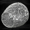 Потолочная люстра Lussole Cullman LSP-8720
