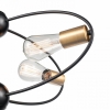 Потолочная люстра Vele Luce Crea VL6522L05