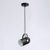 Подвесной светильник Ambrella light TRADITIONAL TR8206