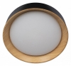Потолочный светильник Loft IT Coin 10202 Black
