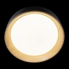 Потолочный светильник Loft IT Coin 10202 Black
